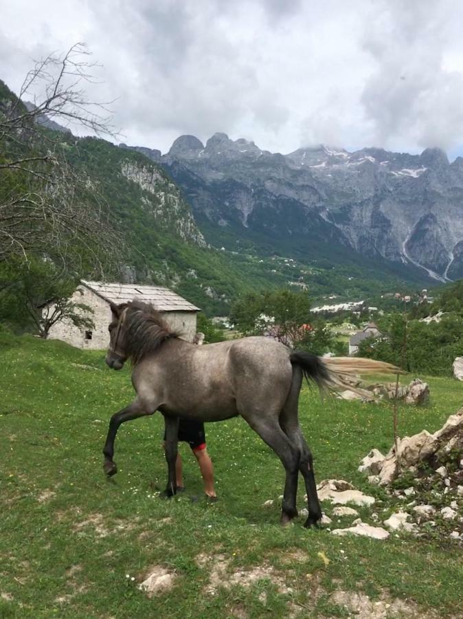 Bujtina Zici Ξενοδοχείο Theth Εξωτερικό φωτογραφία